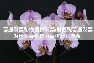 普通发票和增值税发票(增值税普通发票为什么要价税分离进行开发票)