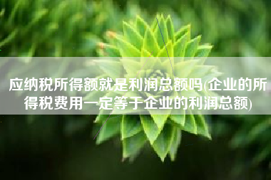 应纳税所得额就是利润总额吗(企业的所得税费用一定等于企业的利润总额)