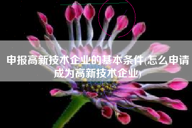 申报高新技术企业的基本条件(怎么申请成为高新技术企业)