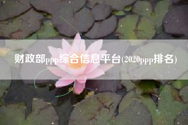 财政部ppp综合信息平台(2020ppp排名)