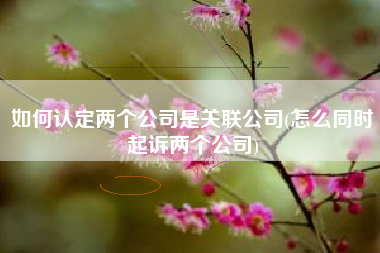 详细阅读:如何认定两个公司是关联公司(怎么同时起诉两个公司) 如何认定两个公司是关联公司(怎么同时起诉两个公司)