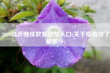2020临沂继续教育登录入口(关于疫情你了解多少)