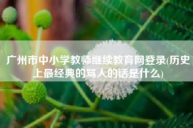 广州市中小学教师继续教育网登录(历史上最经典的骂人的话是什么)