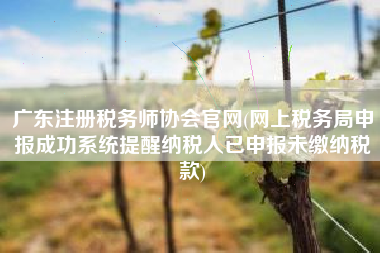 广东注册税务师协会官网(网上税务局申报成功系统提醒纳税人已申报未缴纳税款)