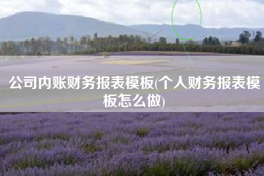 公司内账财务报表模板(个人财务报表模板怎么做)