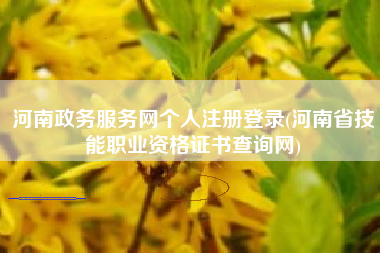 河南政务服务网个人注册登录(河南省技能职业资格证书查询网)