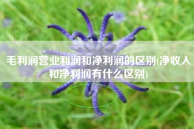 毛利润营业利润和净利润的区别(净收入和净利润有什么区别)