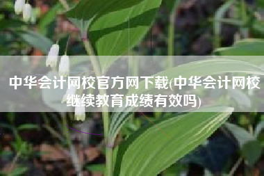 中华会计网校官方网下载(中华会计网校继续教育成绩有效吗)