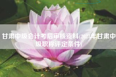 甘肃中级会计考后审核资料(2023年甘肃中级职称评定条件)