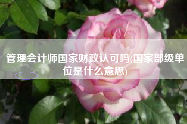 管理会计师国家财政认可吗(国家部级单位是什么意思)