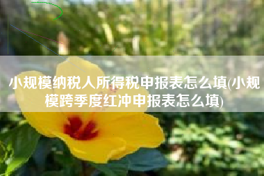 小规模纳税人所得税申报表怎么填(小规模跨季度红冲申报表怎么填)