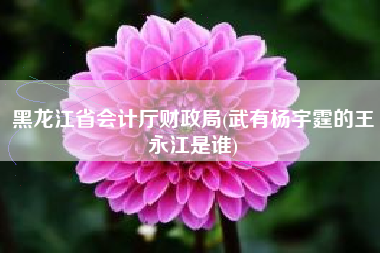 黑龙江省会计厅财政局(武有杨宇霆的王永江是谁)