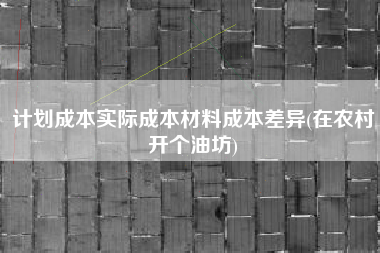 计划成本实际成本材料成本差异(在农村开个油坊)