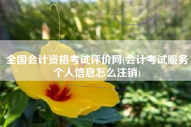全国会计资格考试评价网(会计考试服务个人信息怎么注销)