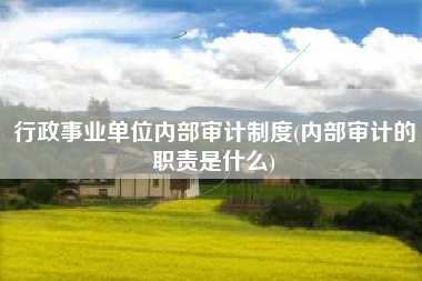 行政事业单位内部审计制度(内部审计的职责是什么)
