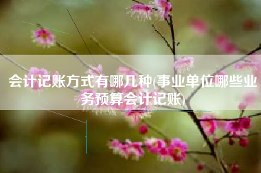 会计记账方式有哪几种(事业单位哪些业务预算会计记账)