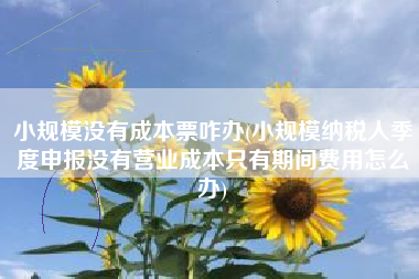 小规模没有成本票咋办(小规模纳税人季度申报没有营业成本只有期间费用怎么办)