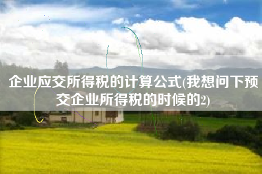 企业应交所得税的计算公式(我想问下预交企业所得税的时候的2)