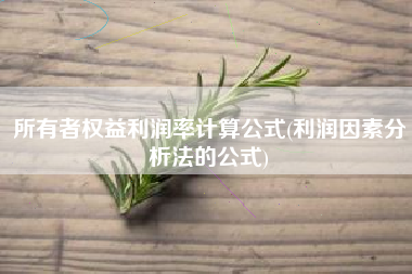所有者权益利润率计算公式(利润因素分析法的公式)