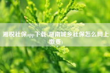 湘税社保app下载(湖南城乡社保怎么网上缴费)