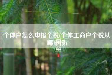 个体户怎么申报个税(个体工商户个税从哪申报)