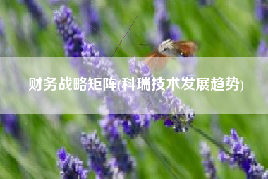 财务战略矩阵(科瑞技术发展趋势)