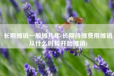 长期摊销一般摊几年(长期待摊费用摊销从什么时候开始摊销)
