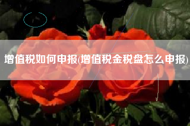 增值税如何申报(增值税金税盘怎么申报)