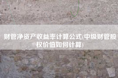 财管净资产收益率计算公式(中级财管股权价值如何计算)