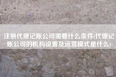 注册代理记账公司需要什么条件(代理记账公司的机构设置及运营模式是什么)