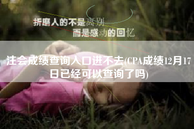 注会成绩查询入口进不去(CPA成绩12月17日已经可以查询了吗)