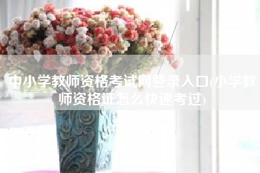 中小学教师资格考试网登录入口(小学教师资格证怎么快速考过)