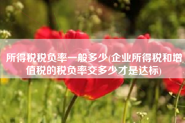 所得税税负率一般多少(企业所得税和增值税的税负率交多少才是达标)