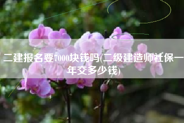 二建报名要7000块钱吗(二级建造师社保一年交多少钱)