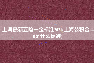上海最新五险一金标准2021(上海公积金248是什么标准)