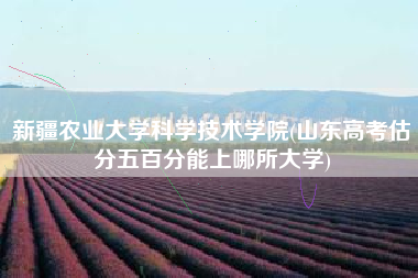 新疆农业大学科学技术学院(山东高考估分五百分能上哪所大学)