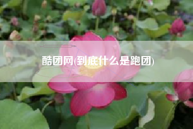 酷团网(到底什么是跑团)