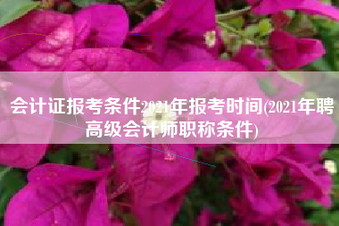 会计证报考条件2021年报考时间(2021年聘高级会计师职称条件)