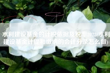 水利建设基金的计税依据及税率2022(水利建设基金计提和缴纳的会计分录怎么做)