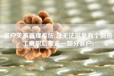 客户关系管理系统(总无法避免有个别员工离职后带走一部分客户)
