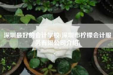 深圳最好的会计学校(深圳市柠檬会计服务有限公司介绍)