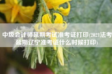 中级会计师延期考试准考证打印(2021法考延期辽宁准考证什么时候打印)