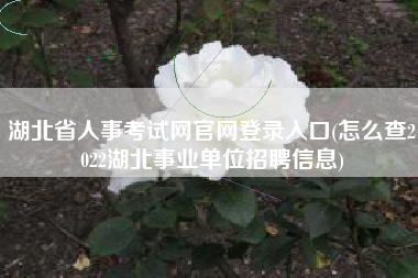 湖北省人事考试网官网登录入口(怎么查2022湖北事业单位招聘信息)