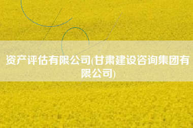 资产评估有限公司(甘肃建设咨询集团有限公司)