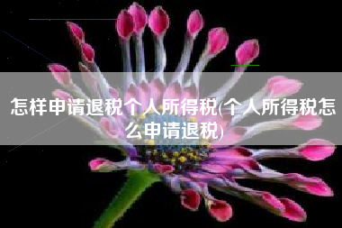 怎样申请退税个人所得税(个人所得税怎么申请退税)