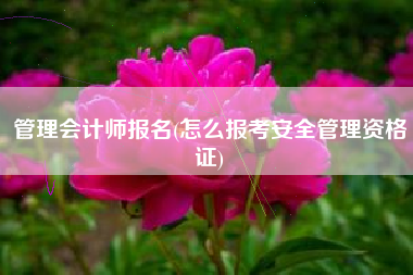 管理会计师报名(怎么报考安全管理资格证)