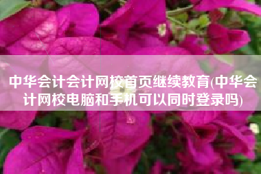 中华会计会计网校首页继续教育(中华会计网校电脑和手机可以同时登录吗)