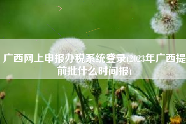 广西网上申报办税系统登录(2023年广西提前批什么时间报)