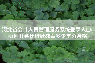 河北省会计人员管理服务系统登录入口(2021河北会计继续教育多少学分合格)