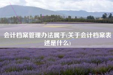 会计档案管理办法属于(关于会计档案表述是什么)